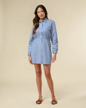 Classic Button Down Mini Dress